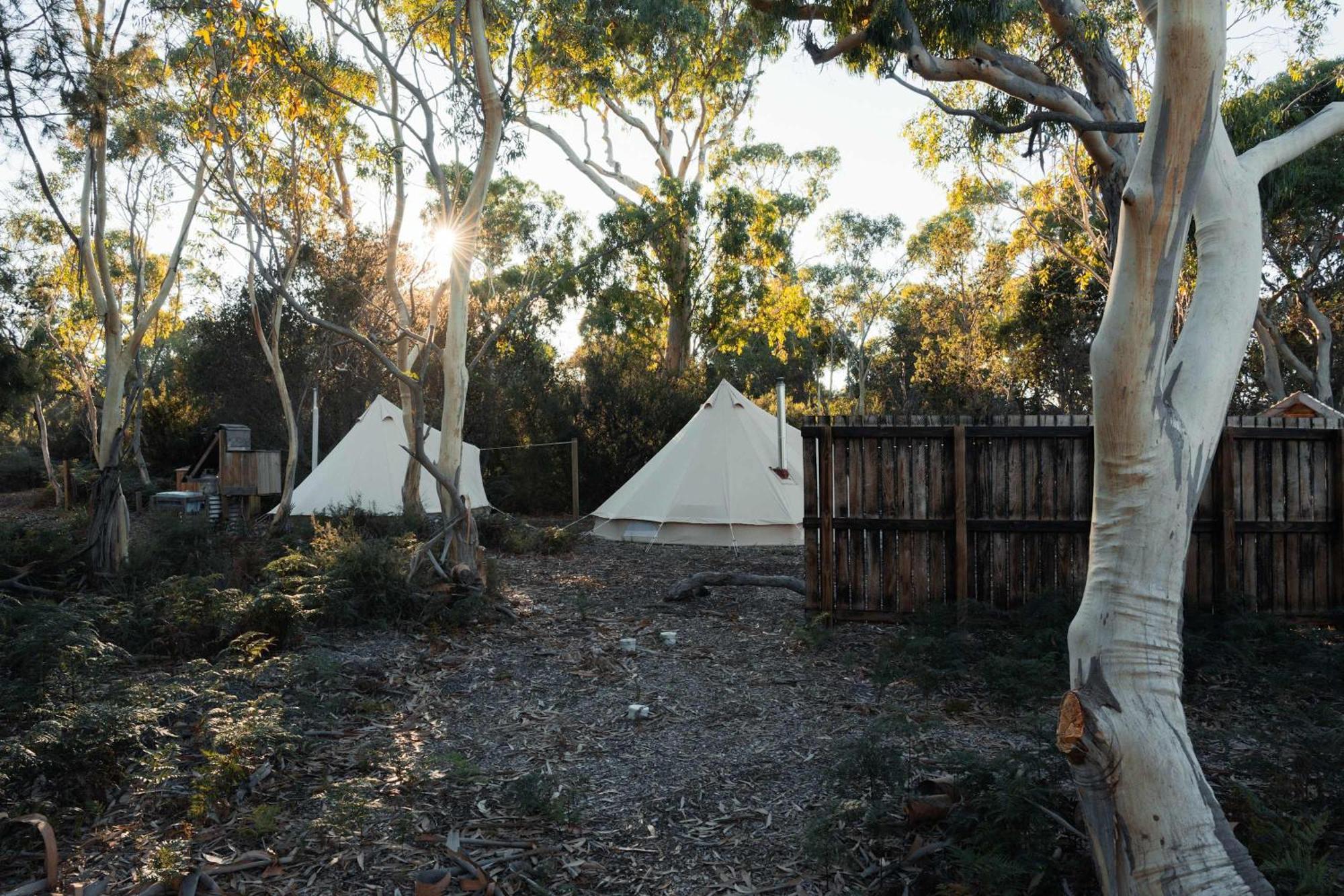 Hotel Numie - Freycinet Peninsula - Glamping - Heated - Waterfront Coles Bay Exterior foto